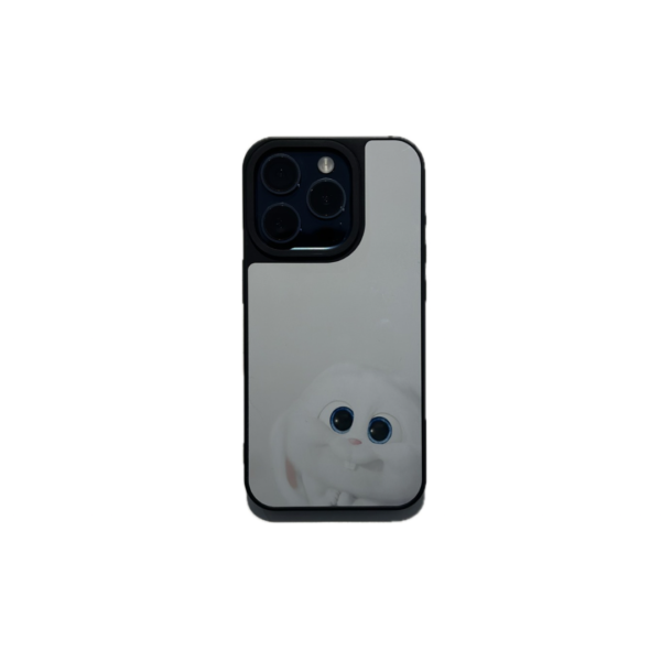 355 Cases