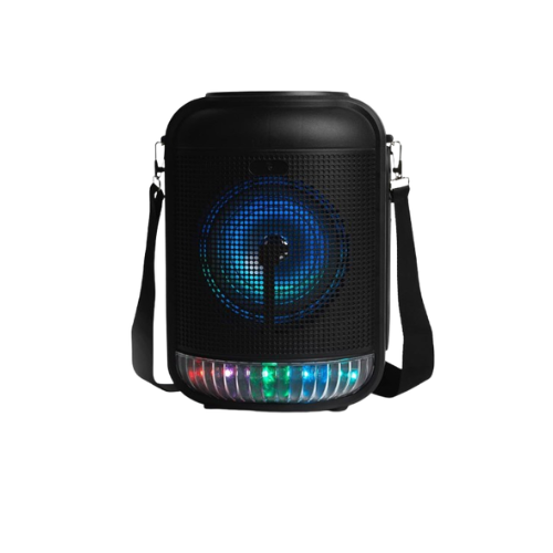Karaoke speaker